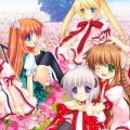 Rewrite Harvest festa