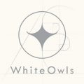 Hidetaka "Swery" Suehiro - White Owls