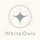 Hidetaka "Swery" Suehiro - White Owls