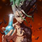 DR. STONE