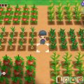 Story of Seasons: Reunion in Mineral Town