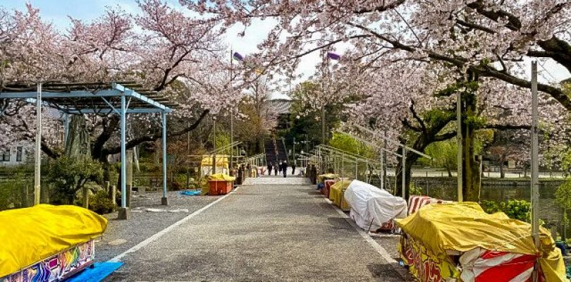 Il parco di Ueno così vuoto non si era mai visto