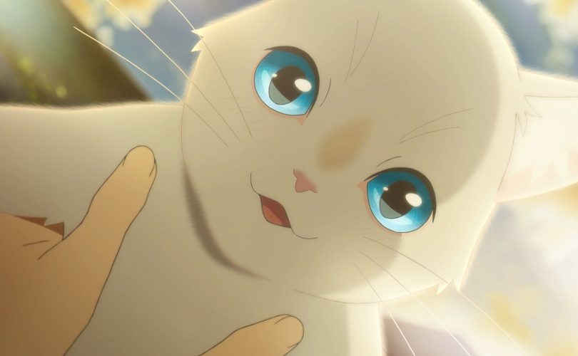 Il film anime A Whisker Away arriva su Netflix in tutto il mondo