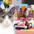 Mario Kart Live: Home Circuit è il gioco più amato (e odiato) dai gatti