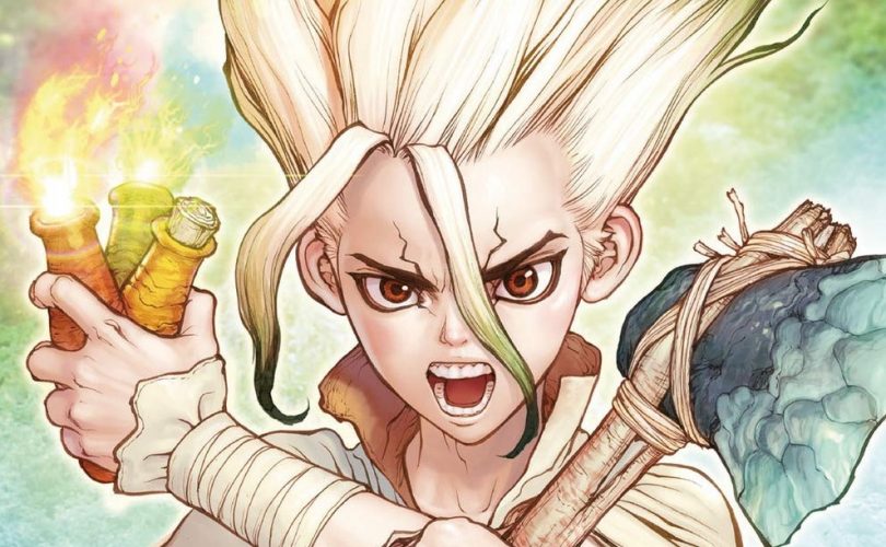 Dr. Stone