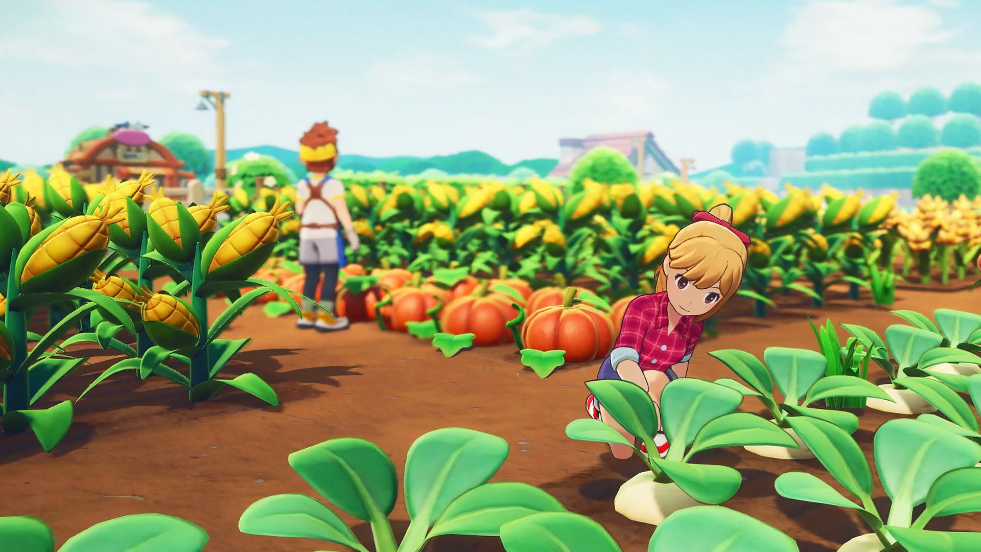 Story of seasons