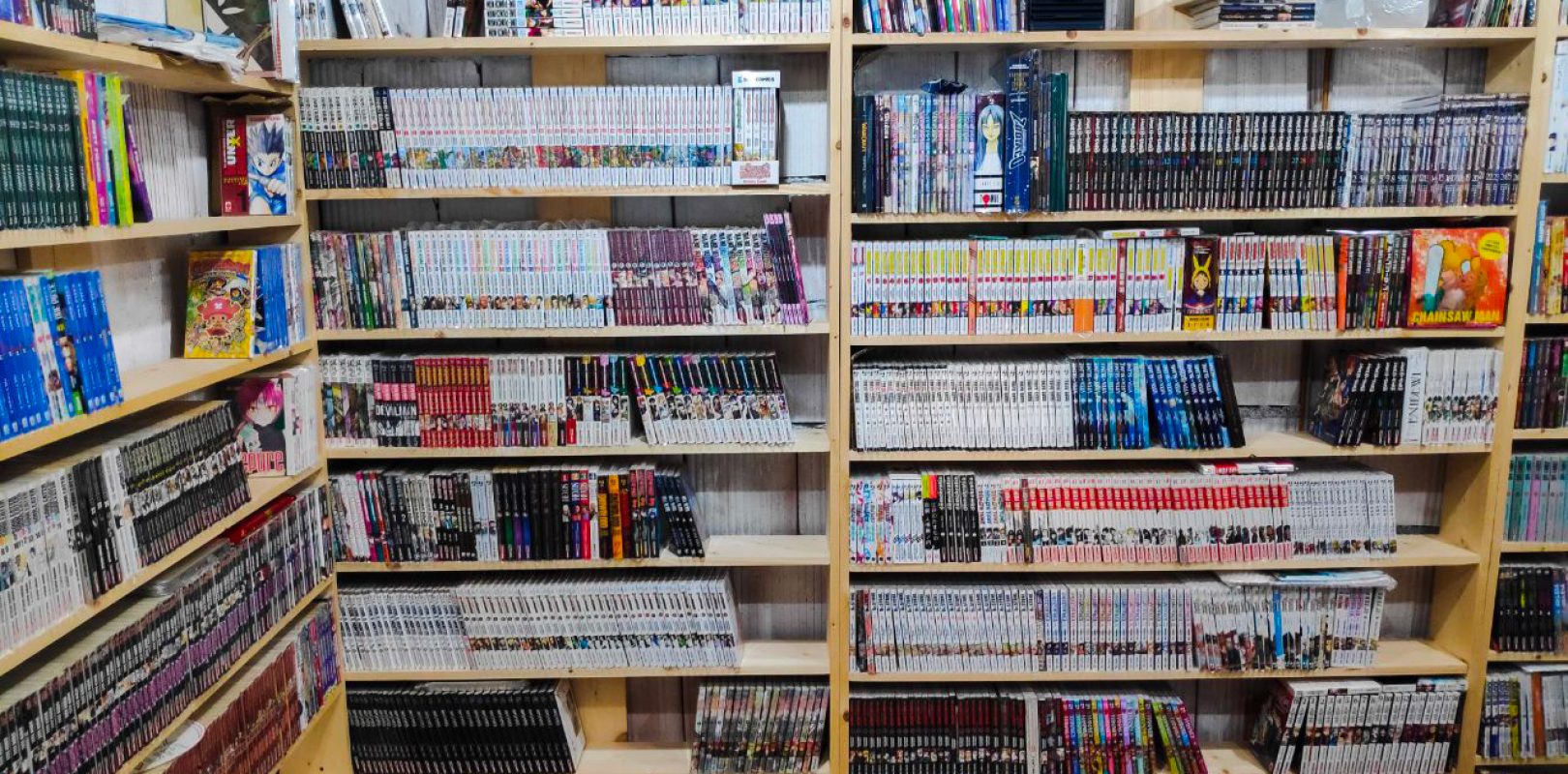 Leggere Manga (e fumetti) - Le dieci regole del buon collezionista