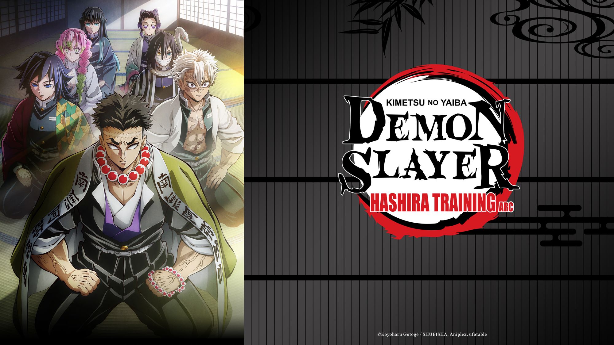 DEMON SLAYER: Kimetsu no Yaiba Hashira Training Arc arrives on ...